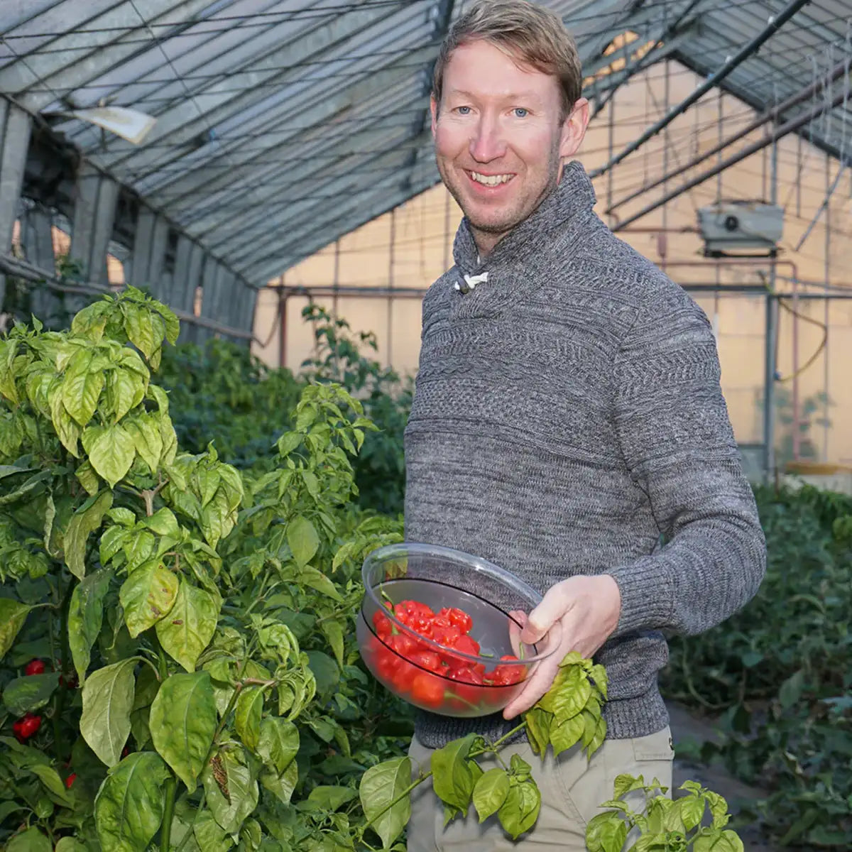 Flasche der SchoarfeWürze, einer fermentierten Bio-Chili-Sauce, mit rotem Etikett.