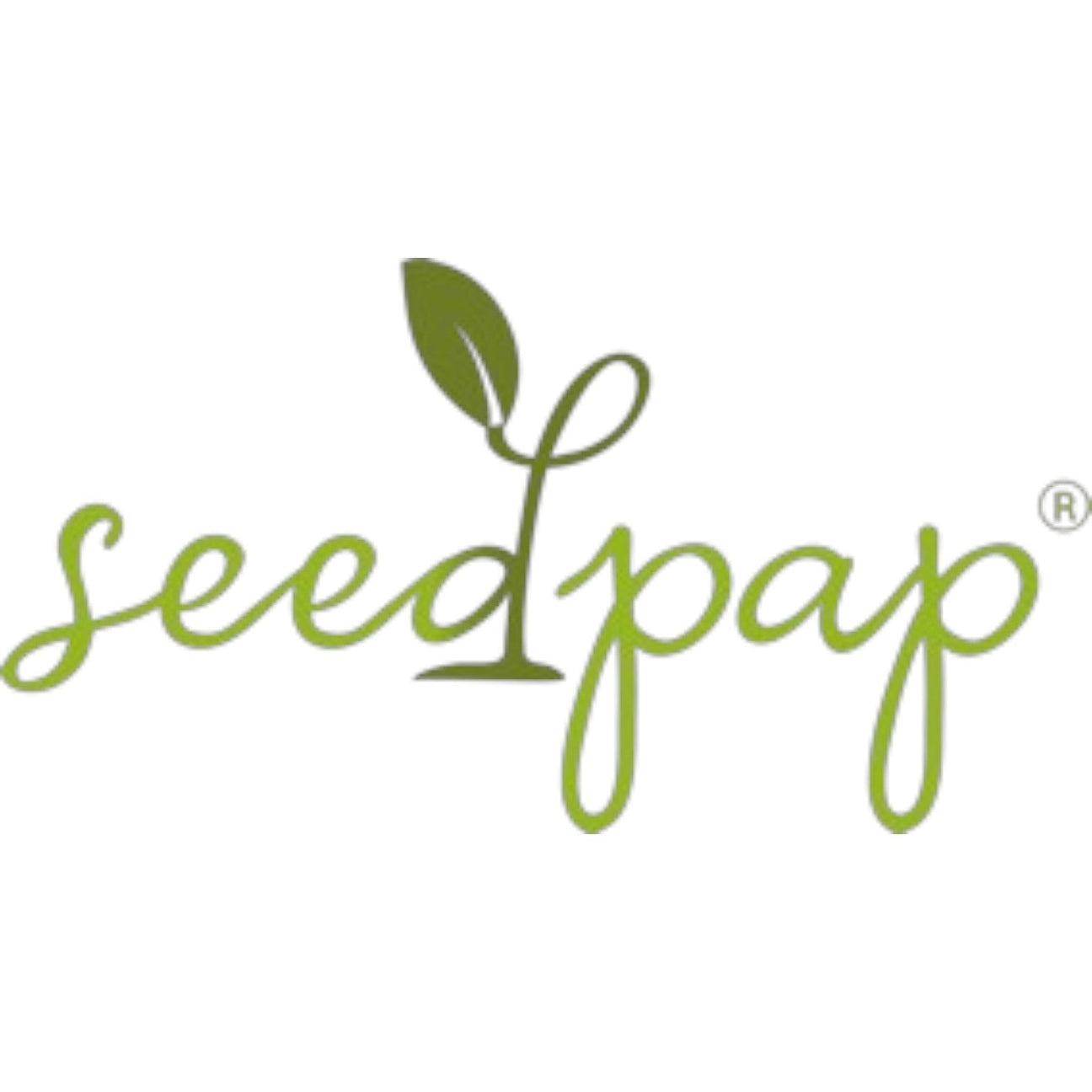 Seedpap – Nachhaltige Grußkarten aus handgemachtem Saatpapier mit integrierten Wildblumensamen zur Förderung von Bienen und Biodiversität.