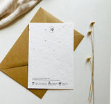 "Happy Birthday" Saatpapier Grußkarten | Schenken, einpflanzen, beim wachsen zusehen