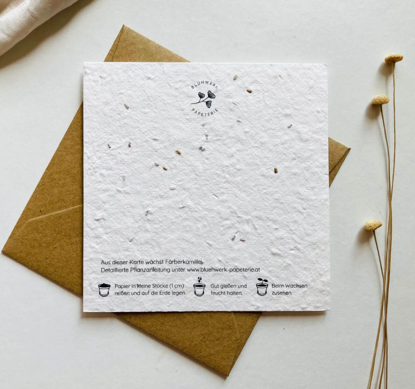 "Glückwunsch" Saatpapier Grußkarten | Schenken, einpflanzen, beim wachsen zusehen