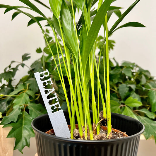 Individuelle Namensschilder für deine Pflanzen & Kräuter Dreizack oesterreich handgemachte geschenke in wien