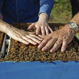 Bio-Waldhonig von EdenBee im 400 g Glas, mit dunkler Bernsteinfarbe und karamellisiertem Geschmack, gewonnen aus Honigtau, reich an Enzymen und Mineralsalzen, ideal zu Kaffee und reifem Käse.