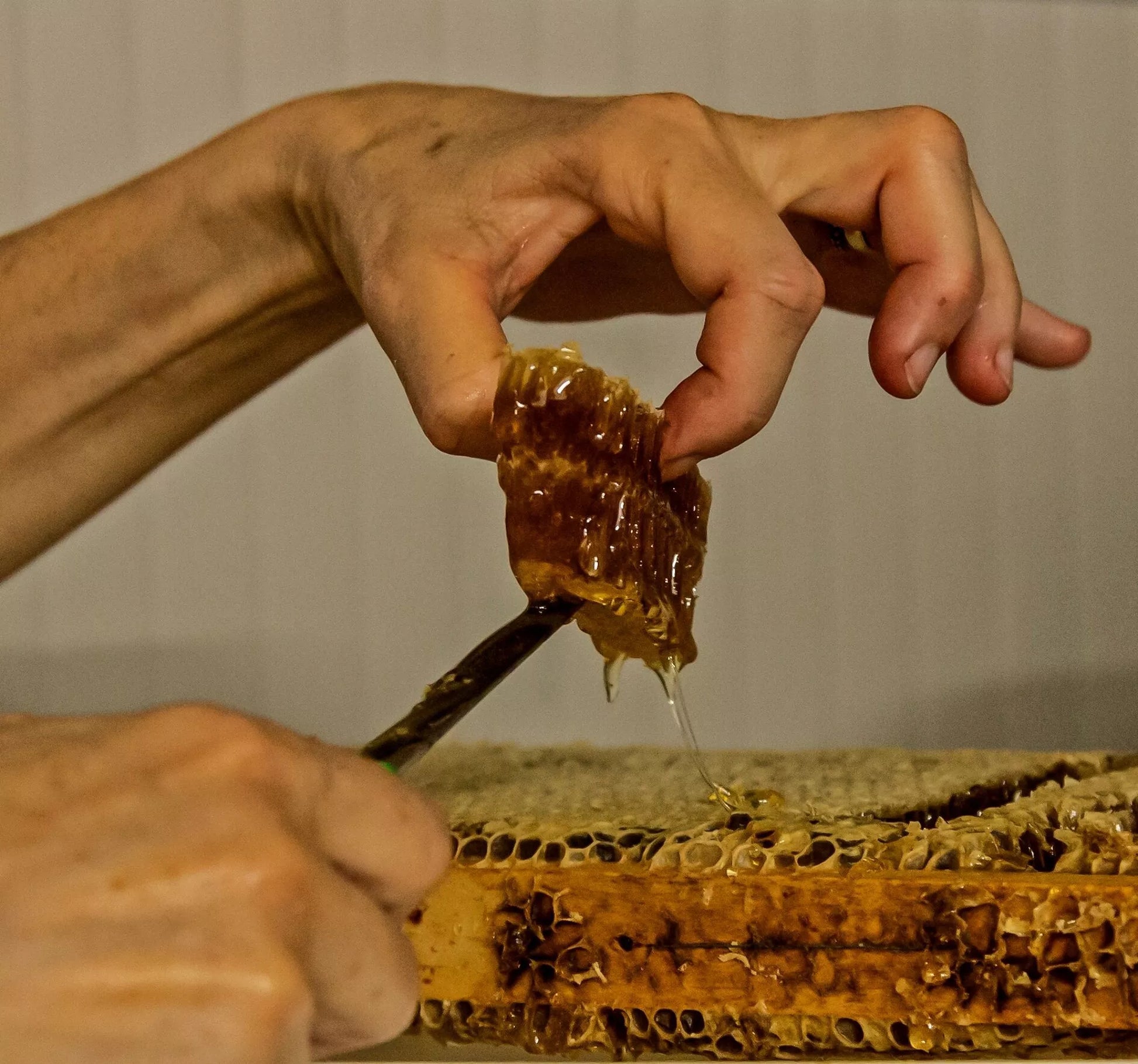 Ganze Honigwabe im Glas von Edenbee, biologisch geerntet in der Alta Langa, honigwabe kaufen in wien