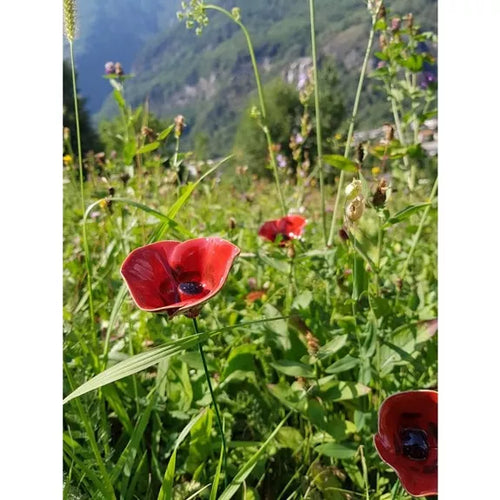Keramik Mohnblume rot mittel in wien – handgemachte Gartenblume aus Keramik, wetterfest, 40 cm
