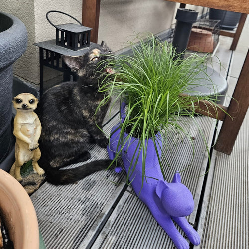 Katzen-Pflanzentopf “Lazy Cat” | Charmante Deko für dein Zuhause