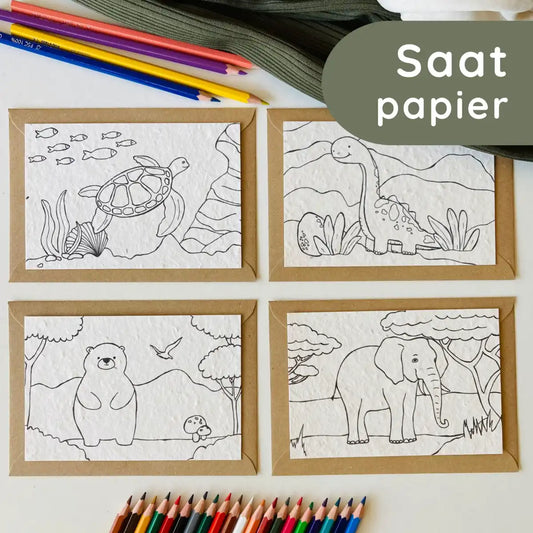 Einpflanzbare Ausmalkarten-Set mit Tiermotiven von Blühwerk – 4 kreative Karten zum Ausmalen und Einpflanzen, nachhaltiges Geschenk für Kinder