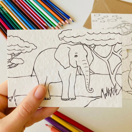 Einpflanzbare Ausmalkarten-Set mit Tiermotiven von Blühwerk – 4 kreative Karten zum Ausmalen und Einpflanzen, nachhaltiges Geschenk für Kinder