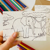Einpflanzbare Ausmalkarten-Set mit Tiermotiven von Blühwerk – 4 kreative Karten zum Ausmalen und Einpflanzen, nachhaltiges Geschenk für Kinder