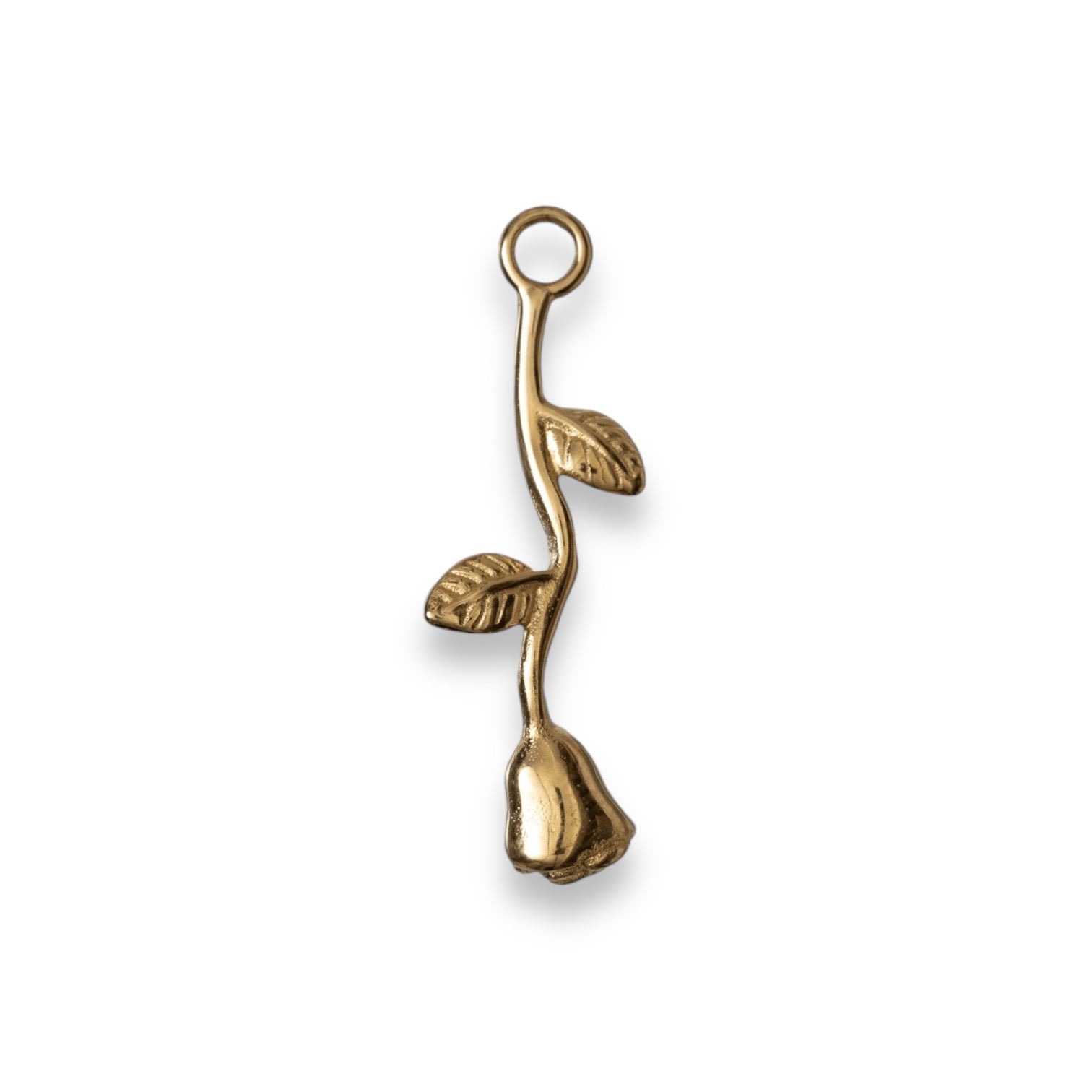 Rose Charm | Schlichte Eleganz und natürliche Schönheit