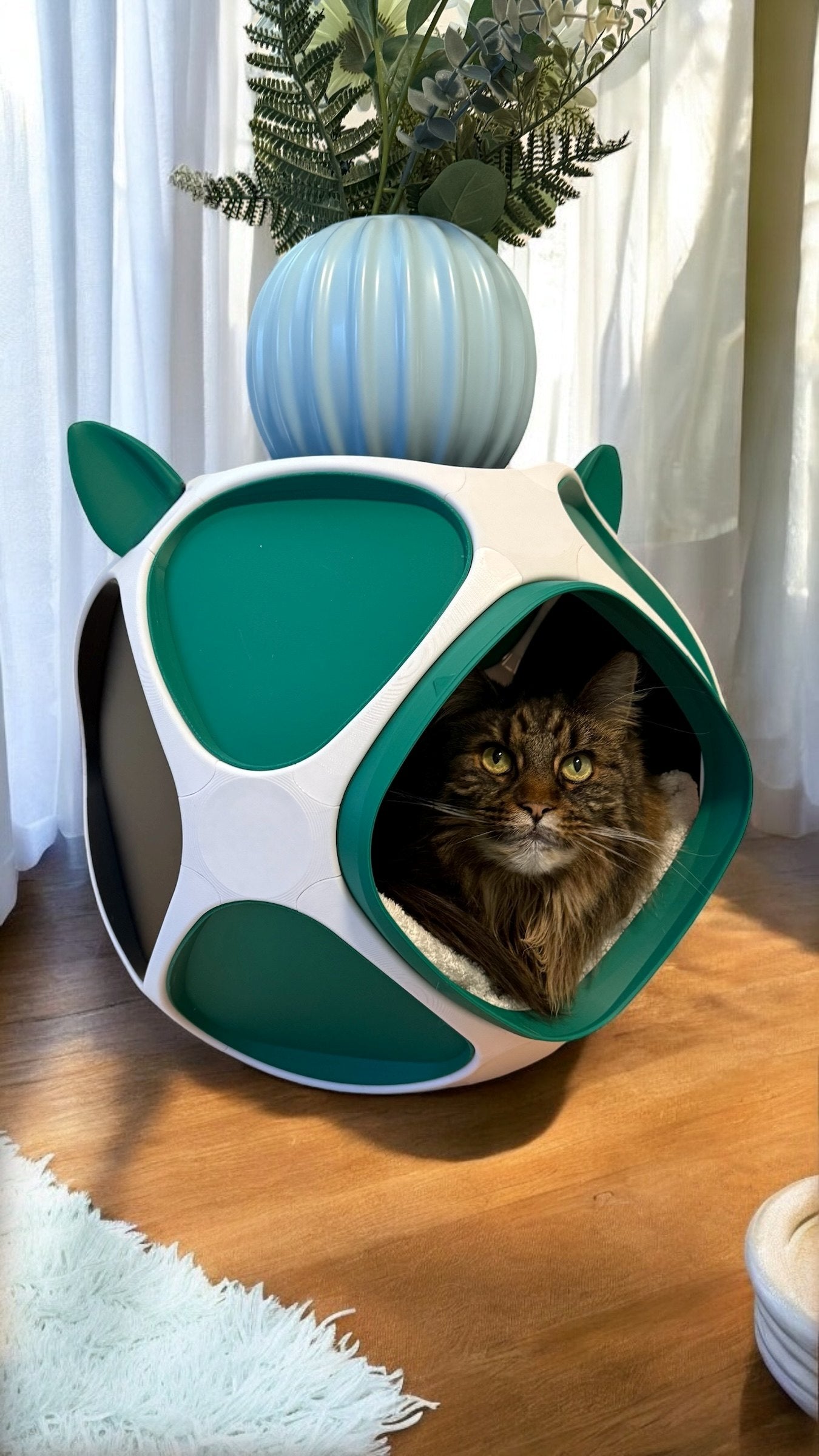 PetPod Katzenhaus von Dreizack in realer Wohnumgebung – Katze liegt entspannt im individuell gestaltbaren Designer-Katzenhaus