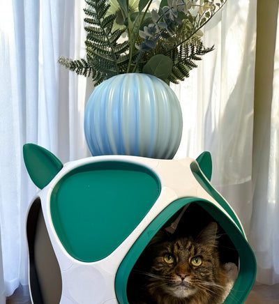 PetPod Katzenhaus von Dreizack in realer Wohnumgebung – Katze liegt entspannt im individuell gestaltbaren Designer-Katzenhaus