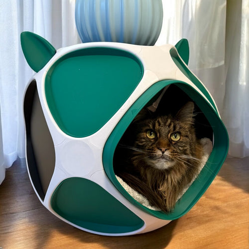 PetPod Katzenhaus von Dreizack in realer Wohnumgebung – Katze liegt entspannt im individuell gestaltbaren Designer-Katzenhaus