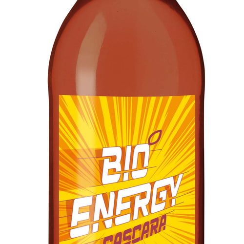 Energy Syrup 250 ml – Bio-Sirup mit Cascara, Ingwer & Kardamom, natürliches Koffein, handgemacht von Green Sheep, Schloss Schiltern, Niederösterreich