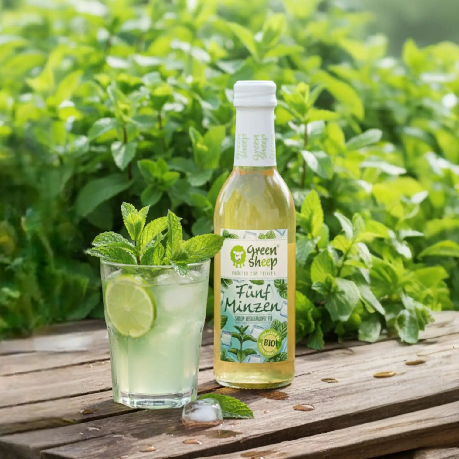 Fünf Minzen Sirup 250 ml – Bio-Kräutersirup mit Pfefferminze, Apfelminze & Zitronenmelisse, handgemacht von Green Sheep, erfrischender Sirup aus Niederösterreich