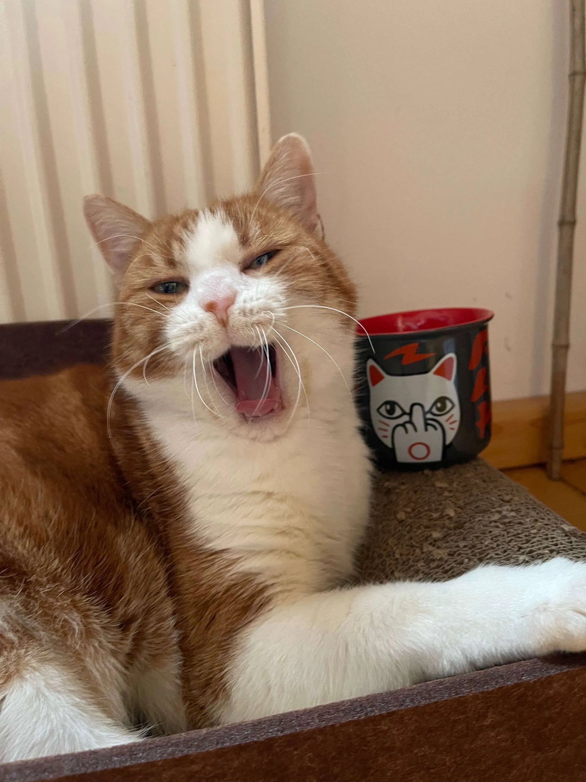 Freche Keramiktasse „F You Neko“ von Heldbergs Games mit Lucky Cat Mittelfinger-Motiv