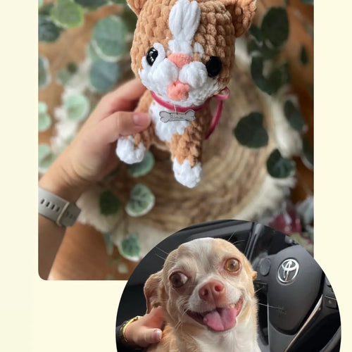 Handgehäkelter Hundeplüschi von LorasHandicrafts, Plüschtier mit Wunschfoto, Hundeliebhaber geschenk in Wien