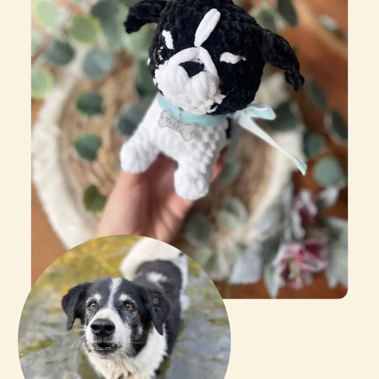 Handgehäkelter Hundeplüschi von LorasHandicrafts, Plüschtier mit Wunschfoto, Hundeliebhaber geschenk in Wien