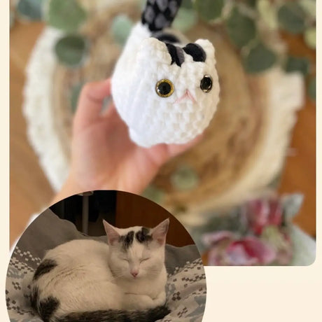 Amigurumi Katzenplüschi nach Foto | Personalisiertes Häkel-Tierchen