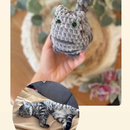 Amigurumi Katzenplüschi nach Foto | Personalisiertes Häkel-Tierchen