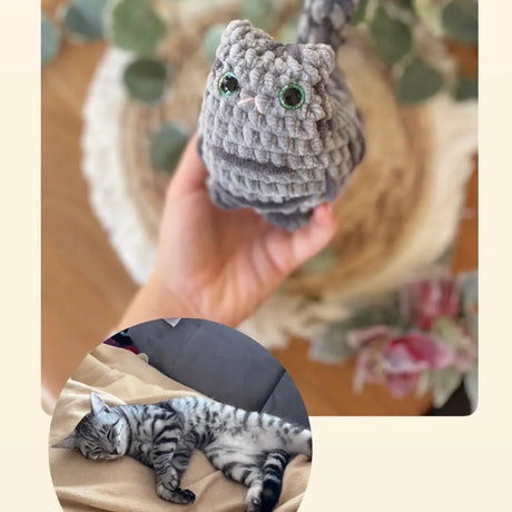 Amigurumi Katzenplüschi nach Foto | Personalisiertes Häkel-Tierchen