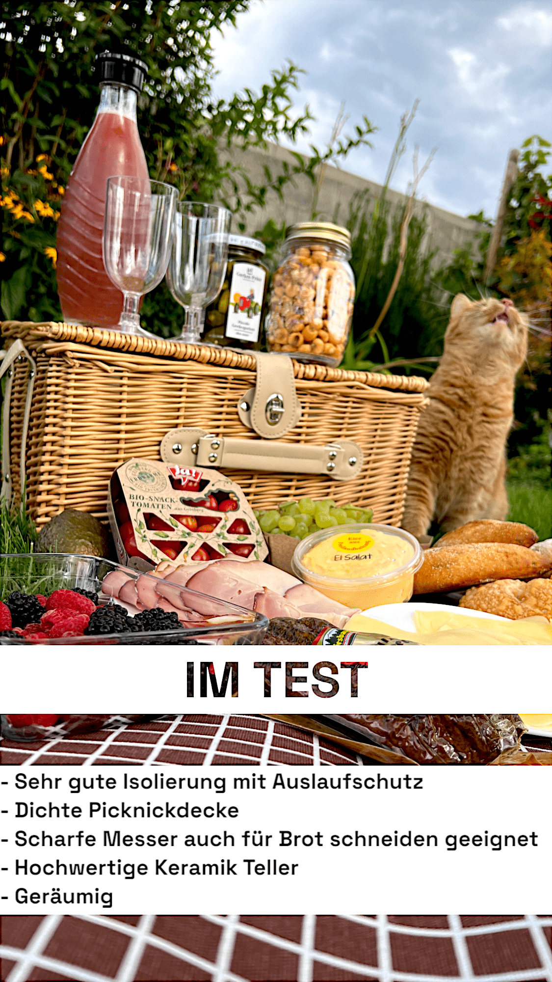 Isolierter Picknickkorb in beige-braun kariert für 4 Personen Dreizack oesterreich handgemachte geschenke in wien