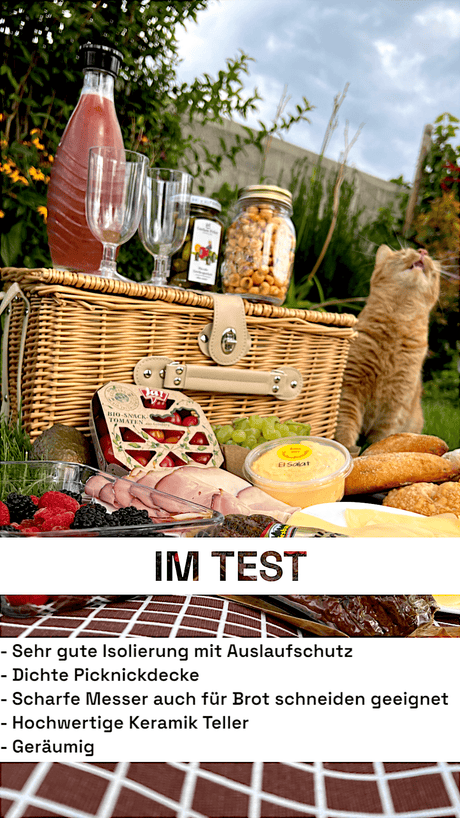 Isolierter Picknickkorb in beige-braun kariert für 4 Personen Dreizack oesterreich handgemachte geschenke in wien