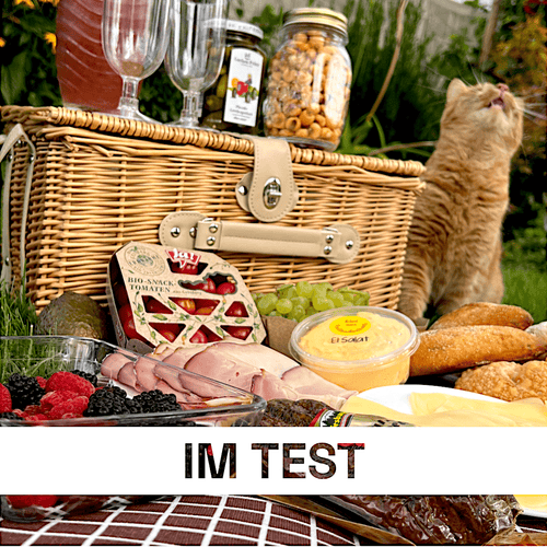 Isolierter Picknickkorb in beige-braun kariert für 4 Personen Dreizack oesterreich handgemachte geschenke in wien