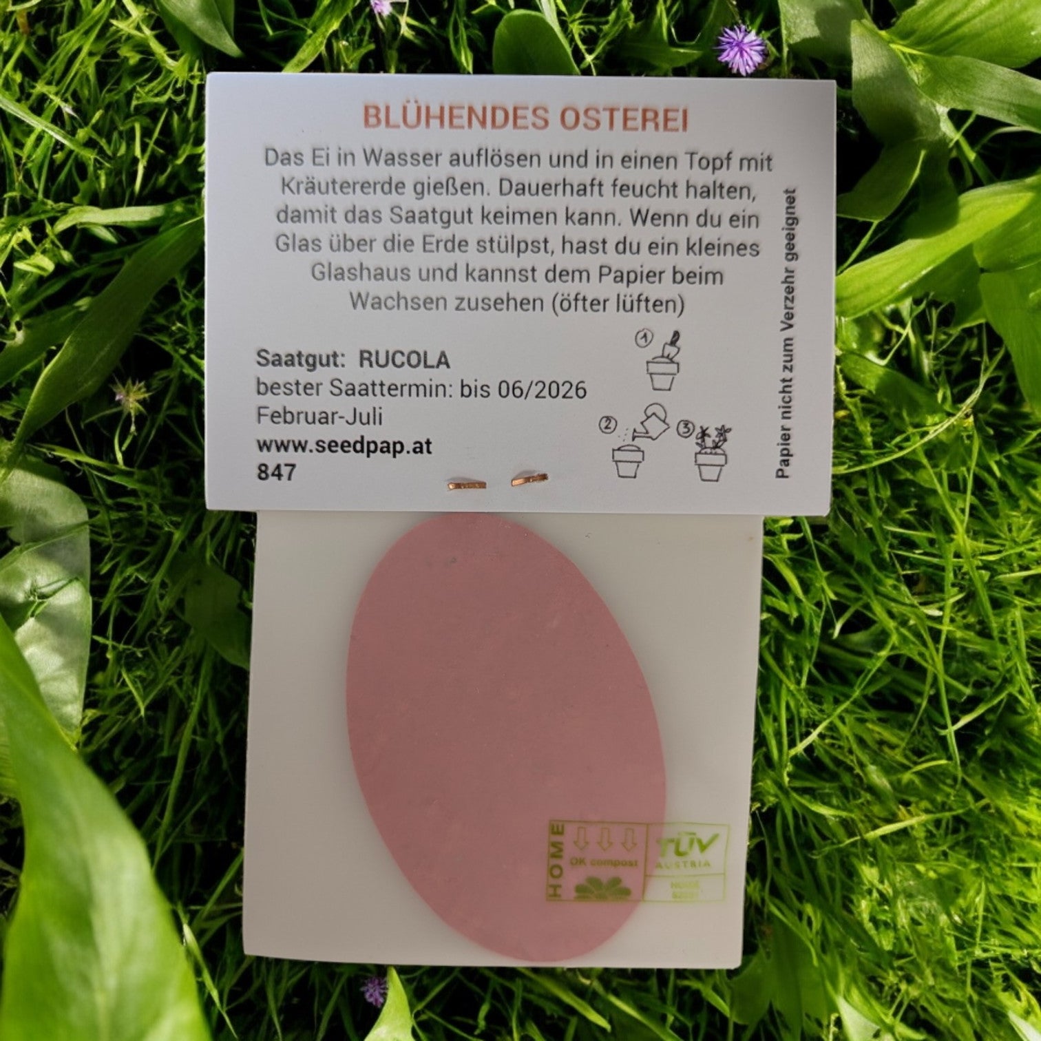 Blühendes Osterei | Saat-Papiere von Seedpap