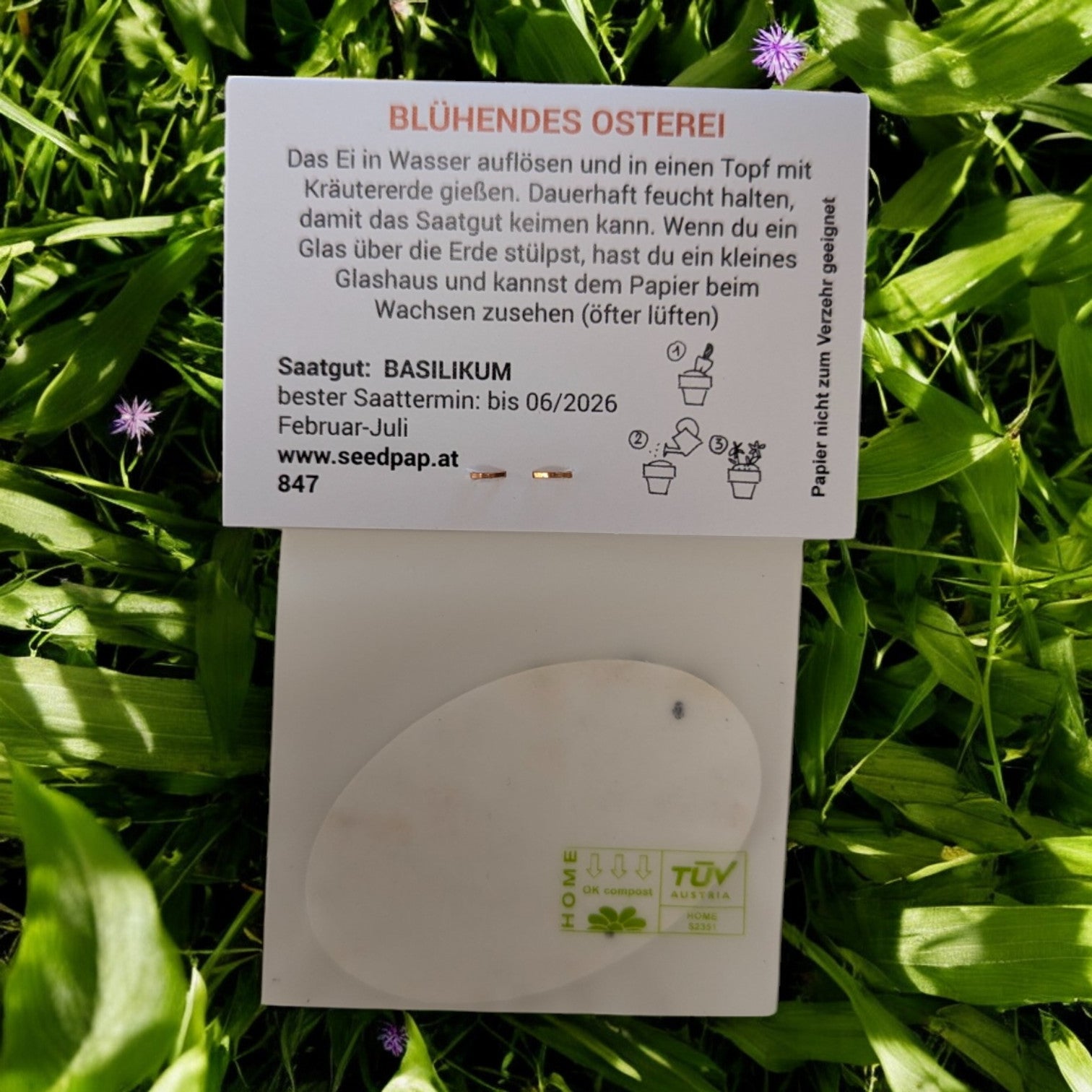 Blühendes Osterei | Saat-Papiere von Seedpap