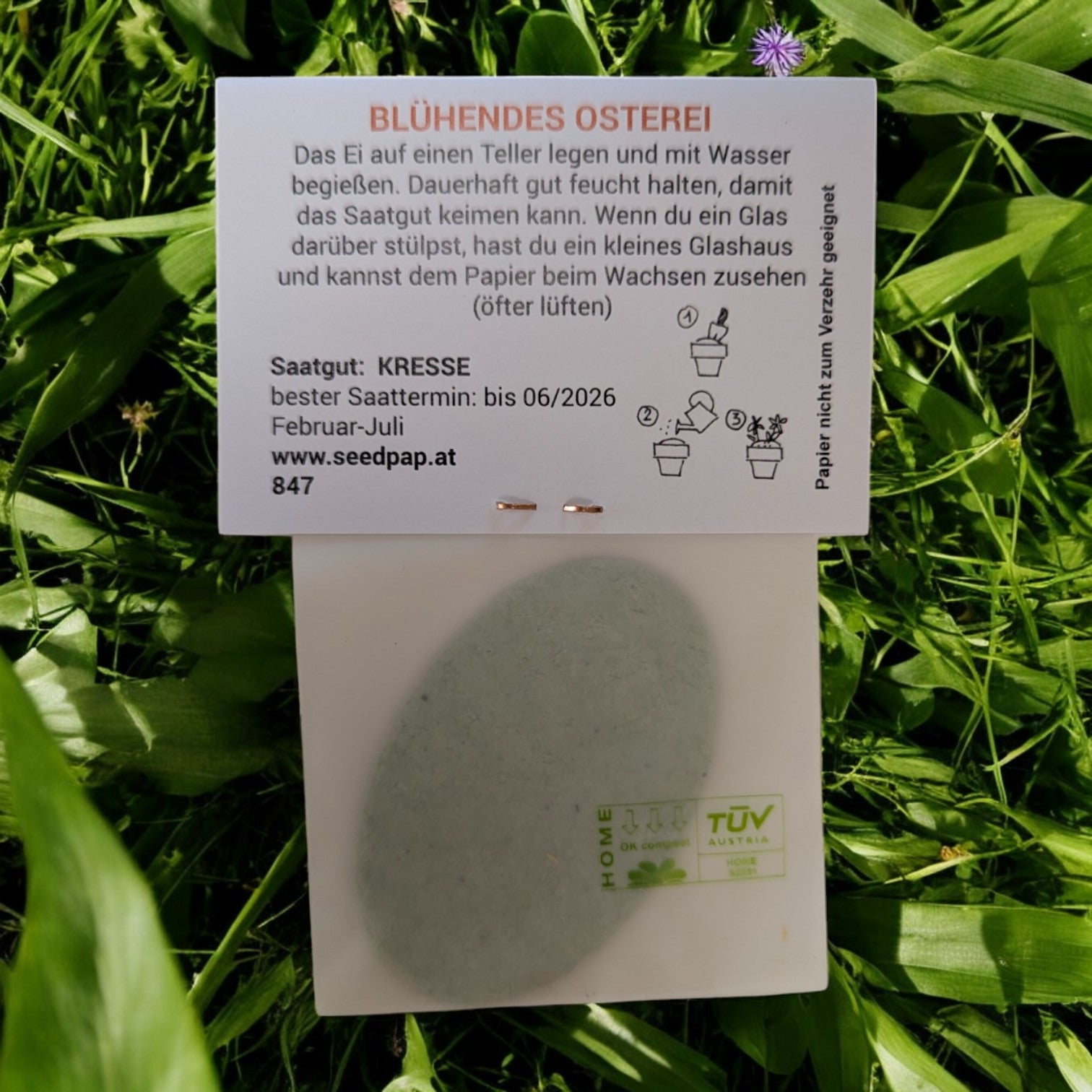 Blühendes Osterei | Saat-Papiere von Seedpap