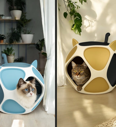 Echte Wohnsituation mit dem PetPod Katzenhaus von Dreizack – Katze liegt entspannt im individuell gestalteten Designerhaus
