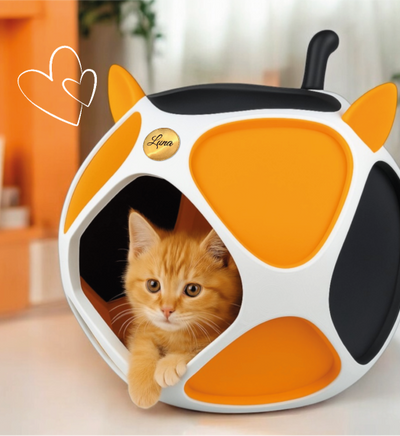 Personalisierter PetPod in Wunschfarben – echte Anwendung im Alltag mit Katze, handgefertigt in Wien