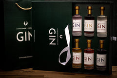 Gin Geschenkbox, 6x100ml