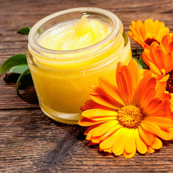 RINGELBLUMEN-Balsam | Kräuterwerkstatt Naturkosmetik Kräuterwerkstatt oesterreich handgemachte geschenke in wien