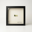 Handmodellierte Avocado-Miniatur in zwei Hälften und ganz, präsentiert in schwarzem Echtholzrahmen 22x22 cm mit Passepartout.