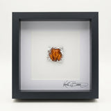 Miniatur eines gebratenen Huhns auf Alufolie, handmodelliert aus Polymer Clay mit Acrylfarben und Epoxidharz-Glasur, in schwarzem Echtholzrahmen mit Passepartout.