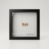 Drei handmodellierte Miniatur-Eiskugeln im schwarzen Echtholzrahmen mit Passepartout und Echtglas, 22×22 cm.