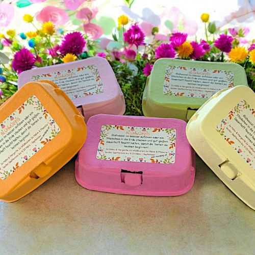 Blühwuzzis von Seedpap, nachhaltige Saatkugeln in pastellfarbener Eierschachtel, mit Wildblumen & Sonnenblumen, ideal für Ostern, Garten & Geschenkideen.
