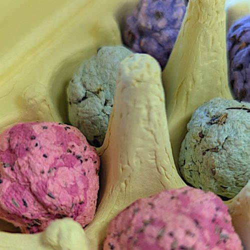 Blühwuzzis von Seedpap, nachhaltige Saatkugeln in pastellfarbener Eierschachtel, mit Wildblumen & Sonnenblumen, ideal für Ostern, Garten & Geschenkideen.