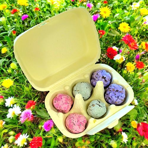 Blühwuzzis von Seedpap, nachhaltige Saatkugeln in pastellfarbener Eierschachtel, mit Wildblumen & Sonnenblumen, ideal für Ostern, Garten & Geschenkideen.