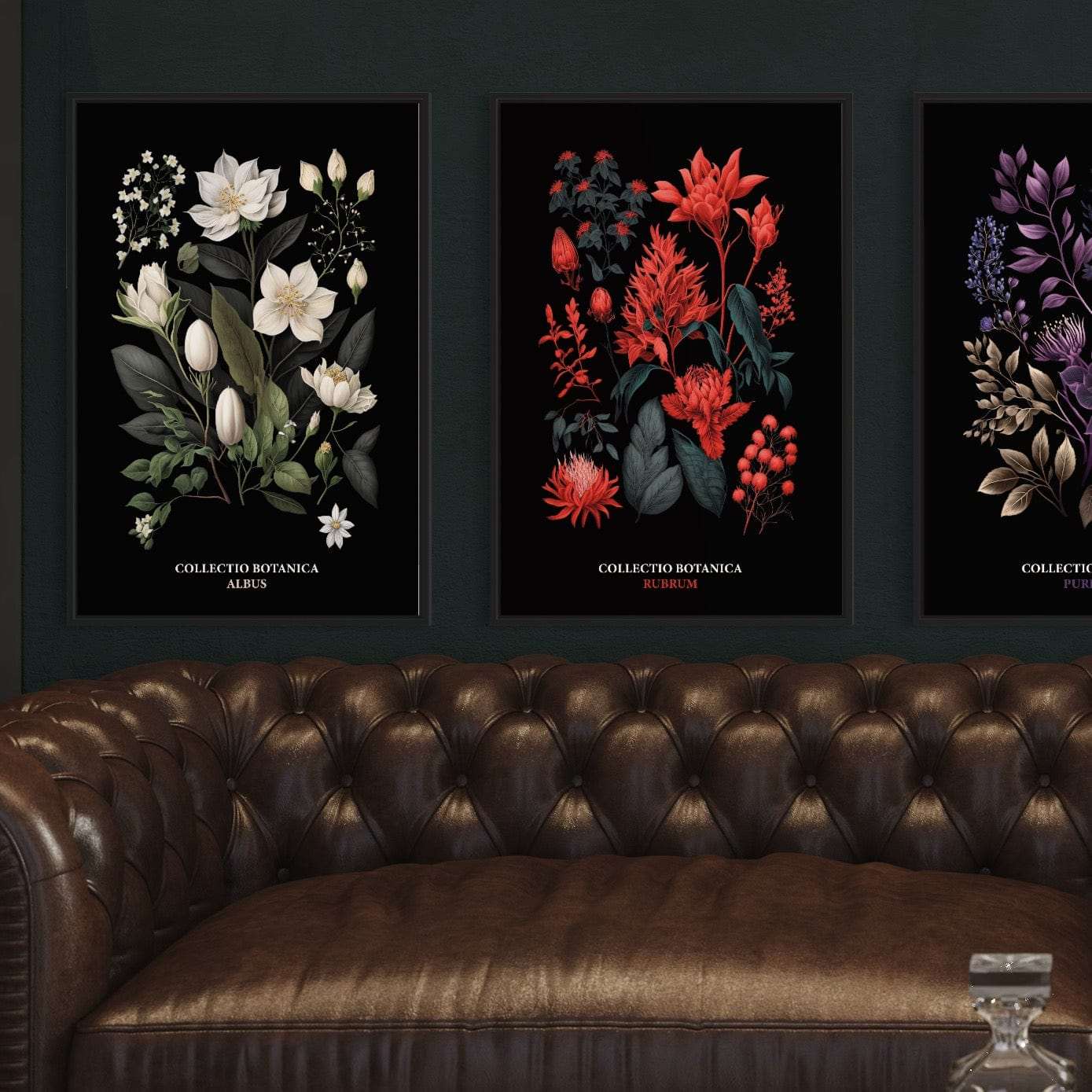 Botanischer Kunstprint Nigrum