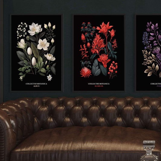 Purpura aus Collectio Botanica 