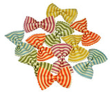 Bunte Farfalle Estive Pasta in einer Tüte, aus Hartweizen handgemacht.