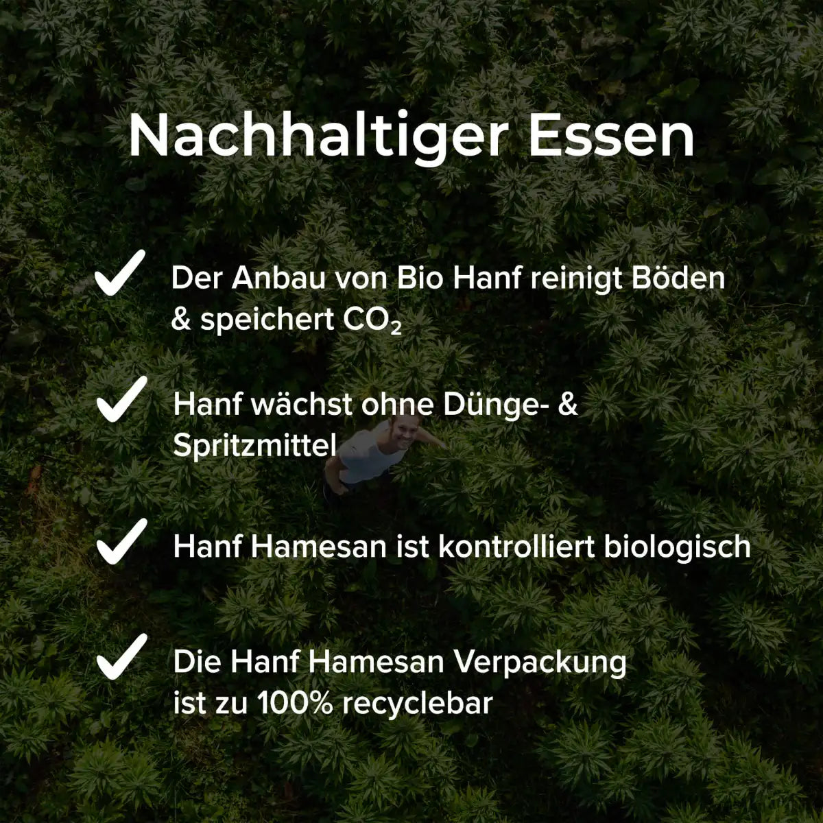 Bio Hanf Hamesan Streukäse Alternative in Pulverform, hellbraun mit kleinen Flocken, bereit zum Bestreuen.