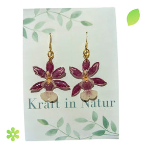 Paar Ohrringe mit echten, violett-weißen Orchideenblüten in transparentem Resin und glänzenden Ohrhaken.