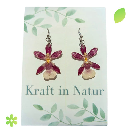 Paar Ohrringe mit echten, violett-weißen Orchideenblüten in transparentem Resin und glänzenden Ohrhaken.