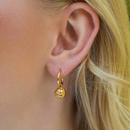 Leberkässemmel Hoops von Calior Jewelry – Wiener Statement-Ohrringe, Edelstahl mit 18K-Goldbeschichtung, wasserfester Schmuck