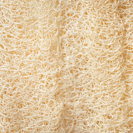 Ein rundes, beiges Loofah Körperpad mit einer Schlaufe auf einer hellen Oberfläche