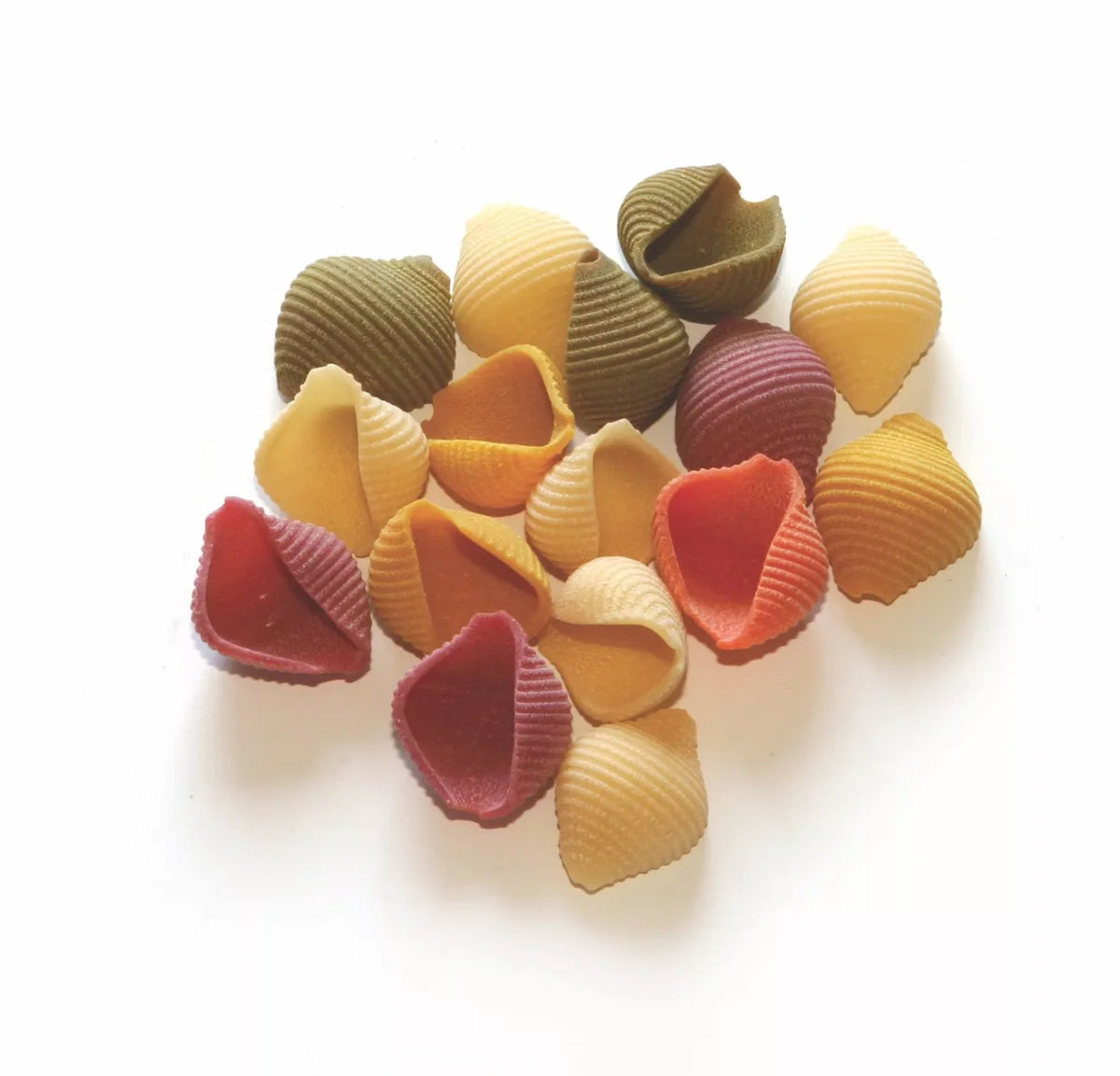 Bunte, handgemachte Naif Conchiglie Nudeln in Muschelform, liegend auf einer rustikalen Oberfläche