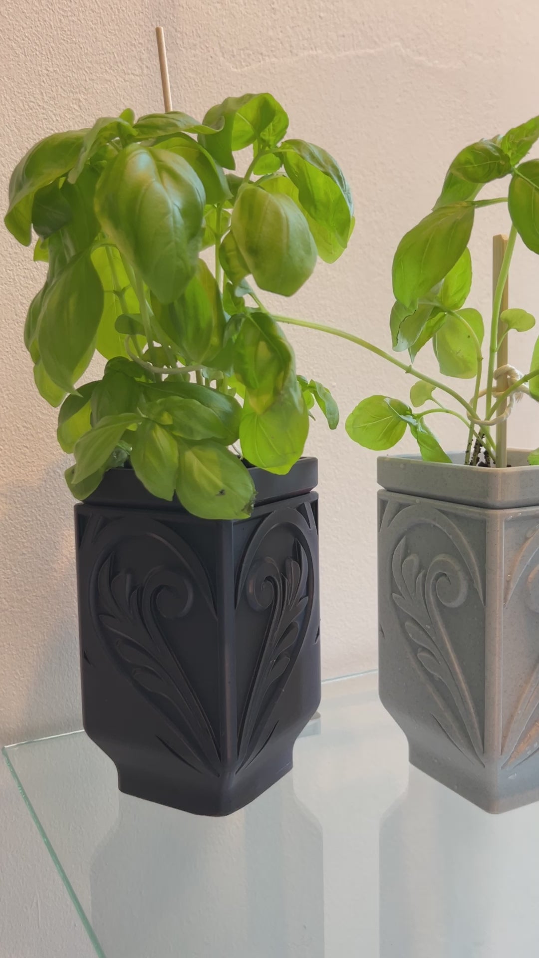 Selbstbewässernde Vase